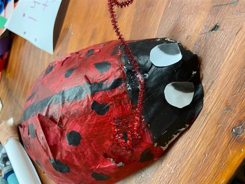 5th Grade Ladybug